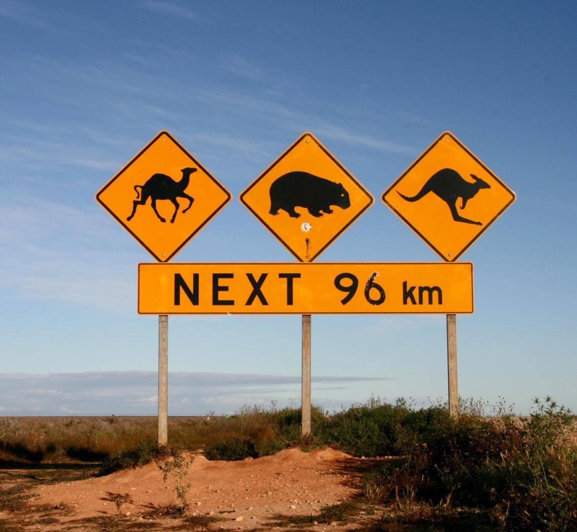 Voyage linguistique en Australie La Réunion